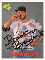 #50-1990 WWF Classic Series Card Set