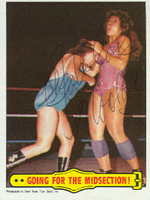 #25-1985 WWF Topps Pro Wrestling Stars Card Set 
