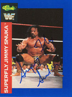 #95-1991 WWF Classic SuperStars Card Set 