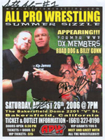 APW Flyer #3