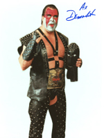 Ax of Demolition