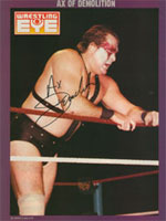 Ax of Demolition