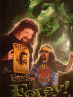 3 Faces of Foley