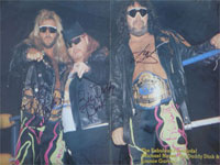Fabulous Freebirds