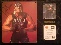 Hulk Hogan