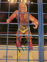 Hulk Hogan