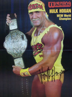 Hulk Hogan