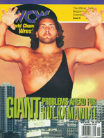 WCW Magazine-November Issue 9