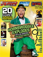 WWE SuperStar Posters&nbsp; 2008