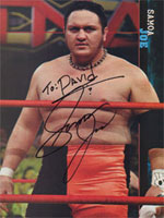 Samoa Joe